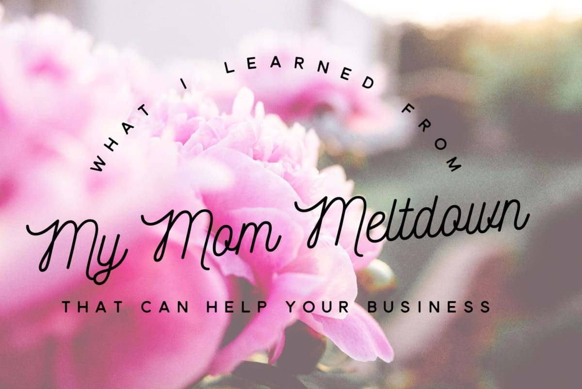 What I Learned From My Mom Meltdown How It Can Help Your Business